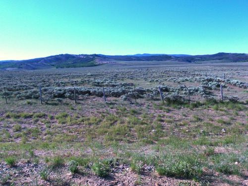 East View.